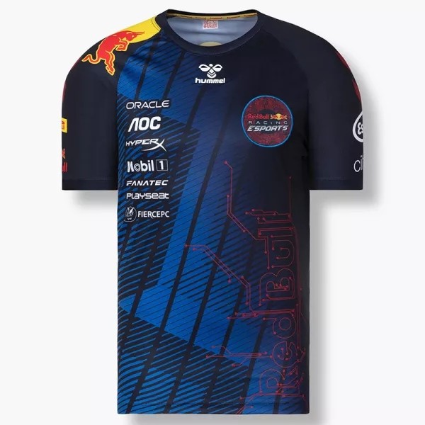 2021 F1 Red Bull Gaming Edition Short Sleeve Racing Suit 1:1 Quality