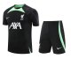 Liverpool Black 1:1 Quality Training Jersey（A-Set）23/24