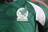 Mexico Green Special Edition Player 1:1 Quality Soccer Jersey 24/25