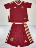 Venezuela Home Fans  Kids Quality Soccer Jersey 24/25