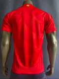 Spain Home Player 1:1 Quality Soccer Jersey 24/25