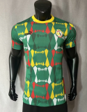 Senegal Away  Player 1:1 Quality Soccer Jersey 23/24