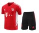 Bayern Munich Red 1:1 Quality Training Jersey（A-Set）23/24