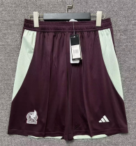 24/25 Mexico Home Fans Shorts