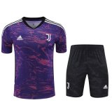 Juventus Purple 1:1 Quality Training Jersey（A-Set）23/24