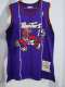 NBA Mitchell & Ness Raptors 15 dragons purple 1:1 Quality
