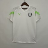 Palmeiras White 1:1 Quality Soccer Jersey 23/24