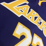 NBA Lakers retro purple V-neck 23 James with chip 1:1 Quality