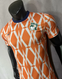 Cote d'Ivoire Home Player 1:1 Quality Soccer Jersey 23/24