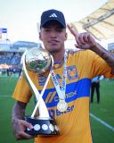 23/24 Tiger Home Fans 1:1 Quality Soccer Jersey