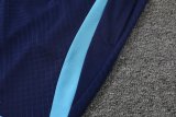 Atlético de Madrid Blue 1:1 Quality Training Jersey（A-Set）22/23