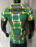 Senegal Away  Player 1:1 Quality Soccer Jersey 23/24