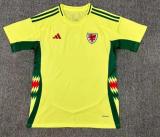 Wales Away  Fans 1:1 Quality Soccer Jersey 24/25