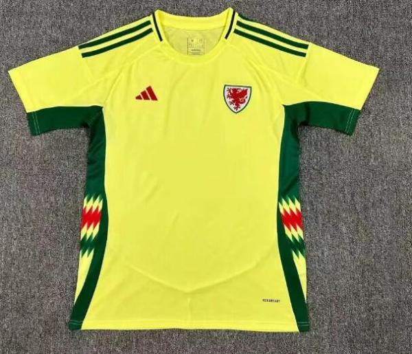 Wales Away Fans 1:1 Quality Soccer Jersey 24/25