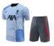 Liverpool Blue 1:1 Quality Training Jersey（A-Set）23/24