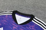 Juventus Purple 1:1 Quality Training Jersey（A-Set）23/24