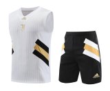 Juventus White 1:1 Quality Training Vest（A-Set）23/24