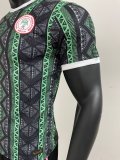 Nigeria Green Player 1:1 Quality Soccer Jersey 23/24