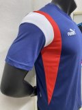 Chivas Blue Fans 1:1 Quality Training Shirts 23/24
