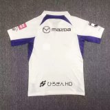23/24 Sanfrecce Hiroshima Away Fans 1:1 Quality Soccer Jersey（广岛三箭）