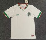 Palmeiras Anniversary Edition Fans 1:1 Quality Soccer Jersey 22/23