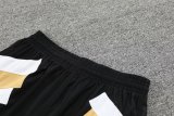 Juventus White 1:1 Quality Training Jersey（A-Set）23/24
