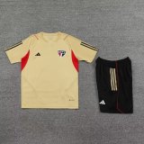 23/24 Sao Paulo Yellow 1:1 Quality Training Jersey（A-Set）