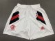 Flamengo 1:1 Quality ICONS Shorts 23/24