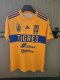 Tiger Home Champions Edition Fans 1:1 Quality Soccer Jersey 22/23