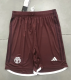 Bayern Munich Third Shorts 23/24