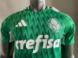 24/25 Palmeiras Green Player Special edition1:1 Quality Soccer Jersey