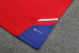 Bayern Munich Red 1:1 Quality Training Vest（A-Set）23/24