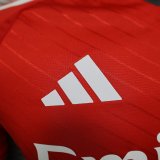 Benfica Home Player 1:1 Quality Soccer Jersey 24/25