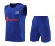 Barcelona Blue 1:1 Quality Training Vest（A-Set）23/24