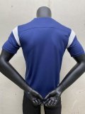 Chivas Blue Fans 1:1 Quality Training Shirts 23/24
