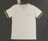 Palmeiras Anniversary Edition Fans 1:1 Quality Soccer Jersey 22/23