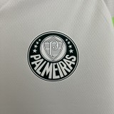 Palmeiras White 1:1 Quality Soccer Jersey 23/24
