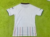 23/24 PSG Special Edition 1:1 Quality Player Version Soccer Jersey