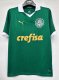 24/25 Palmeiras Home Green Fans 1:1 Quality Soccer Jersey