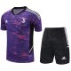 Juventus Purple 1:1 Quality Training Jersey（A-Set）23/24