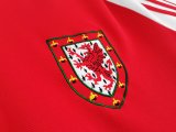 1982 Wales Home 1:1 Quality Retro Soccer Jersey
