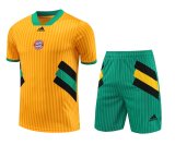 Bayern Munich Yellow 1:1 Quality Training Jersey（A-Set）23/24