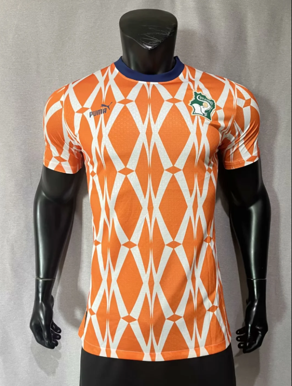 Cote d'Ivoire Home Player 1:1 Quality Soccer Jersey 23/24