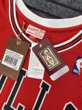 Chicago Bulls Jordan #12 Red Hot Pressing 1:1 Quality Men NBA Jersey 1990