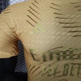 Real Madrid Special Edition Gold Player 1:1 Quality Soccer Jersey 23/24