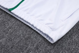 Palmeiras White-Green Jacket Tracksuit 1:1 Quality 23/24