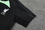 Liverpool Black 1:1 Quality Training Jersey（A-Set）23/24