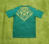 Jamaica Training Clothing  1:1Quality Soccer Jersey 24/25