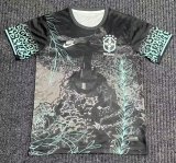 Brazil  Training Clothes Fans 1:1 Quality Soccer Jersey 24/25