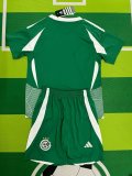 Maccabi Haifa  Home  Kids  Kits 1:1 Soccer Jersey 24/25